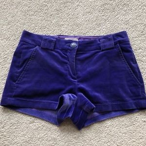 VELVET PINKO SHORTS